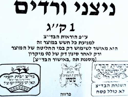 פרחי ורדים שלמים לקישוט 200 סמ