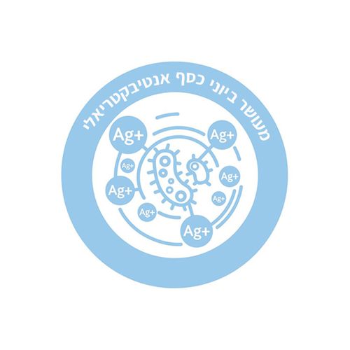 ספוג בצורת דג 