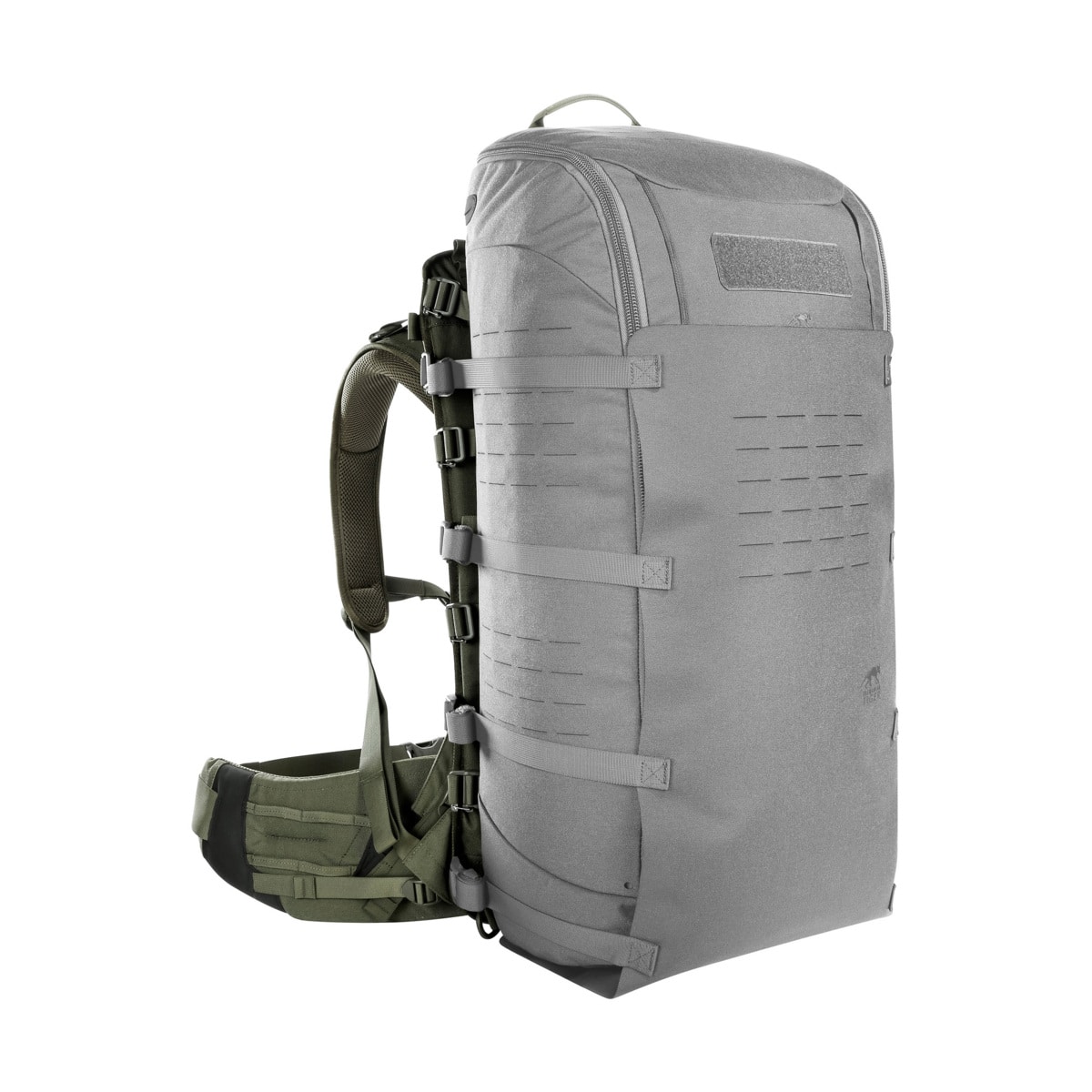 מנשא גב יעודי למשקלים גבוהים Tasmanian Tiger TT Base Carrier