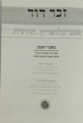 זכר דוד ב