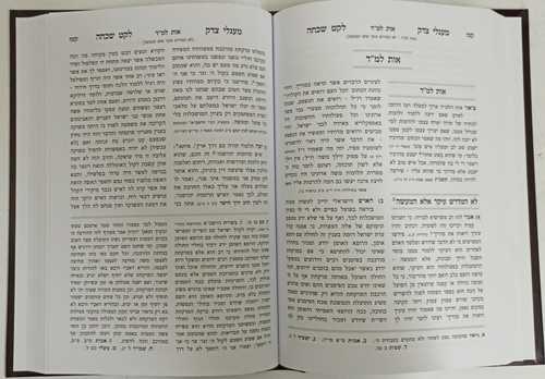 מעגלי צדק - לקט שכחה