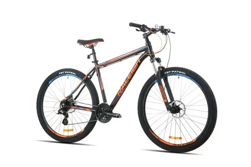 אופני הרים זנב קשיח RALEIGH 3900 - תמונה 1