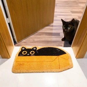 שטיח כניסה מעוצב חתול בקופסא Gatto