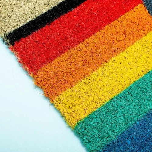 שטיח כניסה מצלמה בצבעי קשת Rainbow Camera