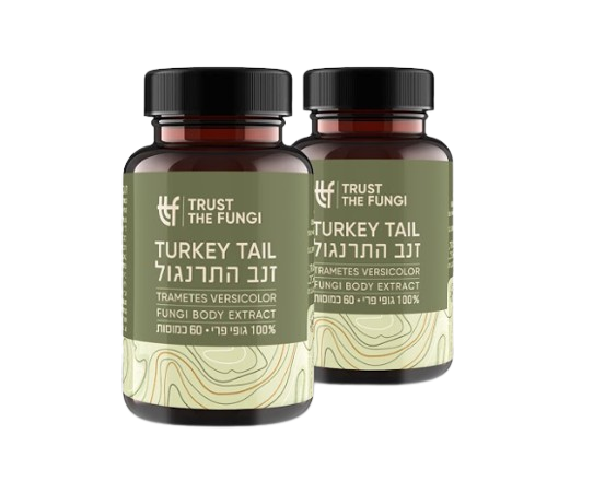 פטריית זנב התרנגול | מיצוי 100% גופי פרי | בשיטת FBE | מבצע זוג | מכיל 120 כמוסות |