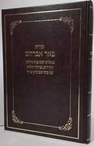 באר אברהם שו"ת ב