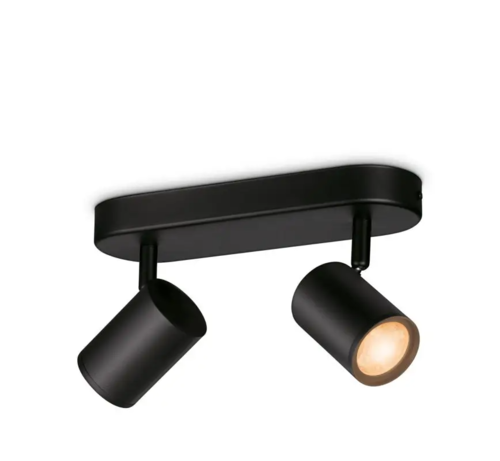 גוף תאורה שחור כפול חכם עם ראש ספוט מתכוונן צבעוני