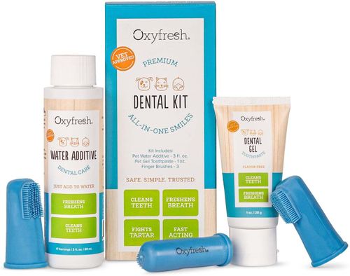 אוקסי פרש Oxyfresh קיט דנטלי ג&#039;ל+תוסף מים+מברשת שיניים