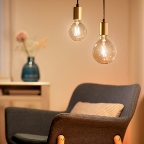 נורת פחם LED חכמה 7W בגודל G95