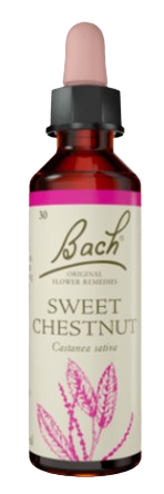 SWEET CHESTNUT | טיפות לשתייה על בסיס תמציות פרחי באך | מכיל 20 מ"ל | 