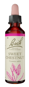 SWEET CHESTNUT | טיפות לשתייה על בסיס תמציות פרחי באך | מכיל 20 מ"ל |