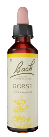 GORSE | טיפות לשתייה על בסיס תמציות פרחי באך | מכיל 20 מ"ל |
