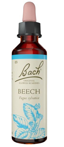 BEECH | טיפות לשתייה על בסיס תמציות פרחי באך | מכיל 20 מ"ל | 