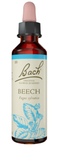 BEECH | טיפות לשתייה על בסיס תמציות פרחי באך | מכיל 20 מ"ל |
