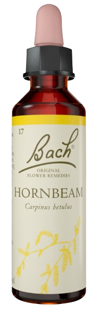 HORNBEAM | טיפות לשתייה על בסיס תמציות פרחי באך | מכיל 20 מ"ל | 