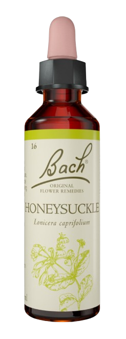 HONEYSUCKLE | טיפות לשתייה על בסיס תמציות פרחי באך | מכיל 20 מ"ל | 