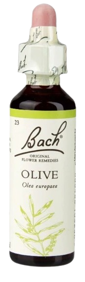 OLIVE | טיפות לשתייה על בסיס תמציות פרחי באך | מכיל 20 מ"ל |