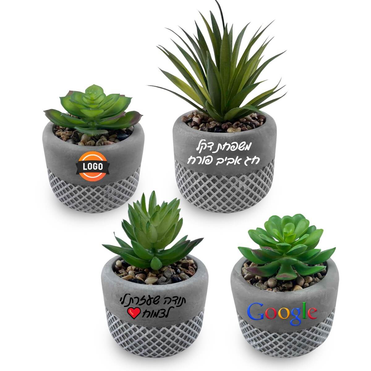 סוקולנטים בעציץ חימר – ניתן להוסיף מיתוג אישי