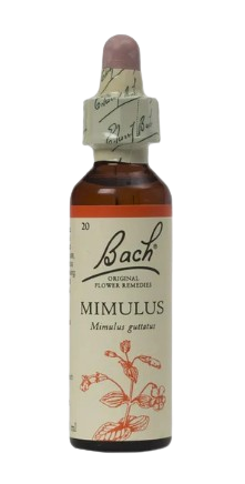 Mimulus | טיפות לשתייה על בסיס תמציות פרחי באך | מכיל 20 מ"ל |