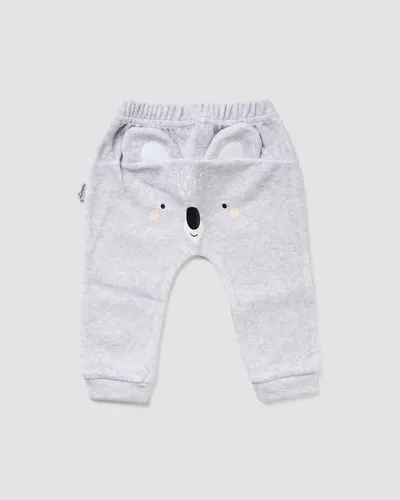 חליפה מבד קטיפה אפור מלאנז' Koala 