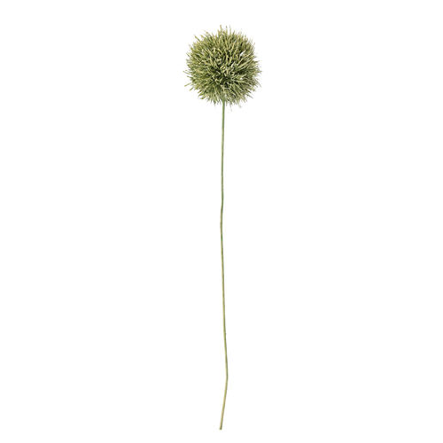 ענף שום מלאכותי Allium ג' 63 ס