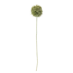 ענף שום מלאכותי Allium ג