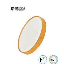 צמוד תקרה DIEGO שליטה באמצעות מפסק קיר CCT