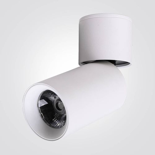 צילינדר מתכוונן לבן CCT 12W 