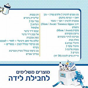 חבילת בוגבו Dragonfly מושלמת-דרגונפליי-דור-בוגבו - bugaboo