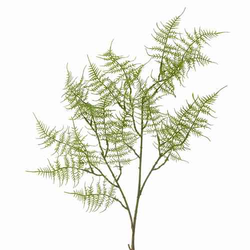 ענף שרך בוסטון מלאכותי Fern ג' 89 סמ - ירוק -