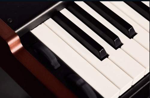 מקלדת במה מקצועית 61 קלידים Legend One Stage Keyboard מבית Viscount