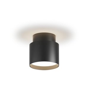  צמוד תקרה צילינדר שחור חלבי DARIA 12W 3CCT 