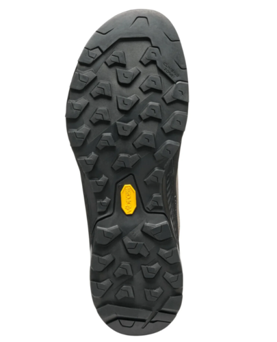 RAPID XT