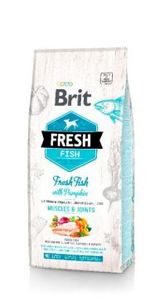 בריט FRESH בוגר ג.ג דג ודלעת 12ק"ג