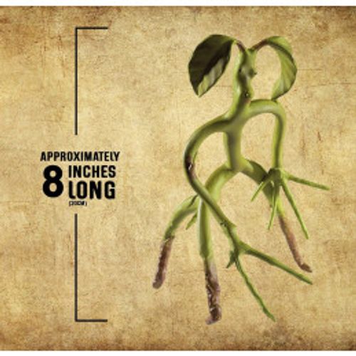 Bendable Bowtruckle - Fantastic Beasts