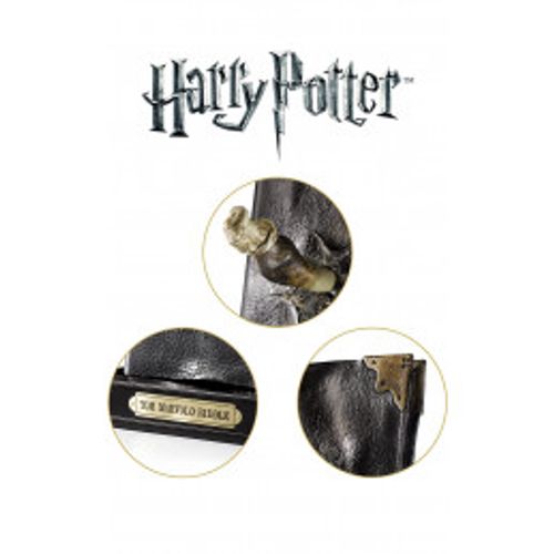 Harry Potter - יומנו של טום רידל