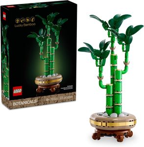 Lucky Bamboo - 10344