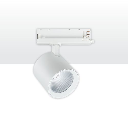ספוטי תלת פאזי 40W LEDON