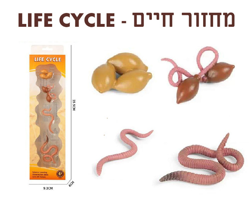 ערכת מחזור החיים של תולעת אדמה-צעצוע למידה