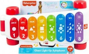 פישר פרייס - קסילופון ענק דובר עברית - Fisher Price HNK88