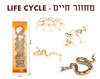 ערכת מחזור החיים של נחש - צעצוע למידה