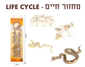 ערכת מחזור החיים של נחש - צעצוע למידה