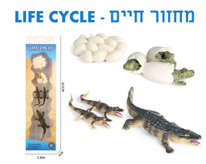 ערכת מחזור החיים של תנין - צעצוע למידה