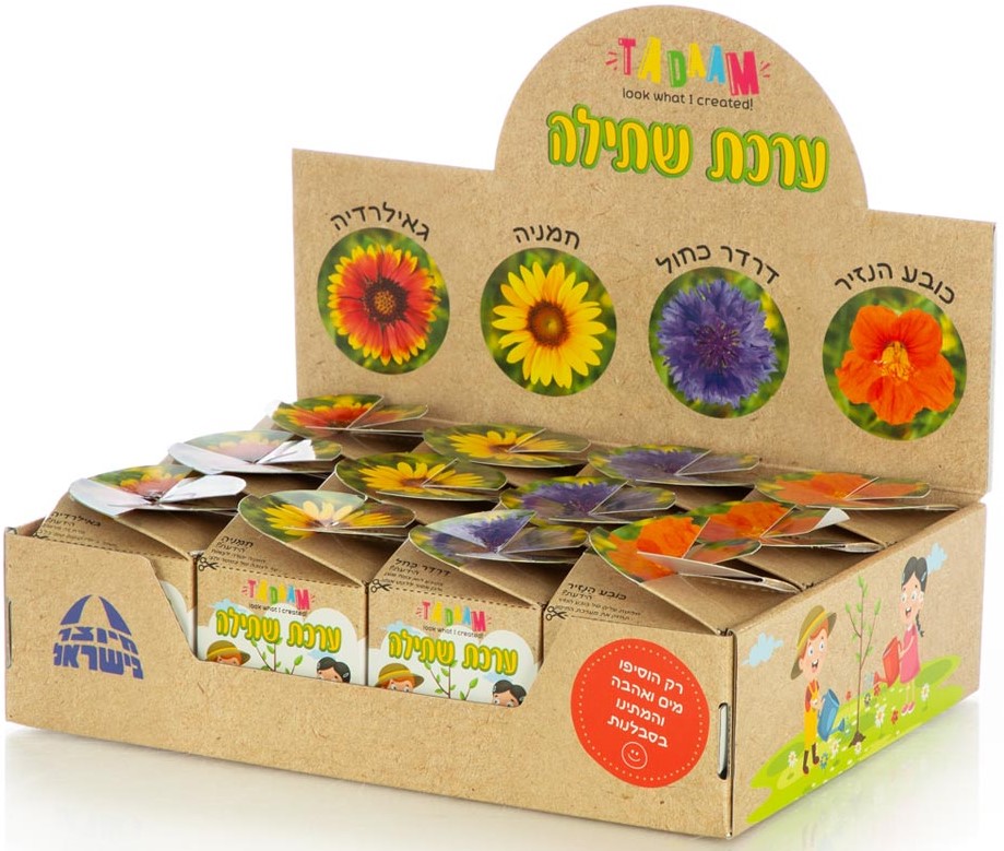 ערכת שתילה פרחי נוי 