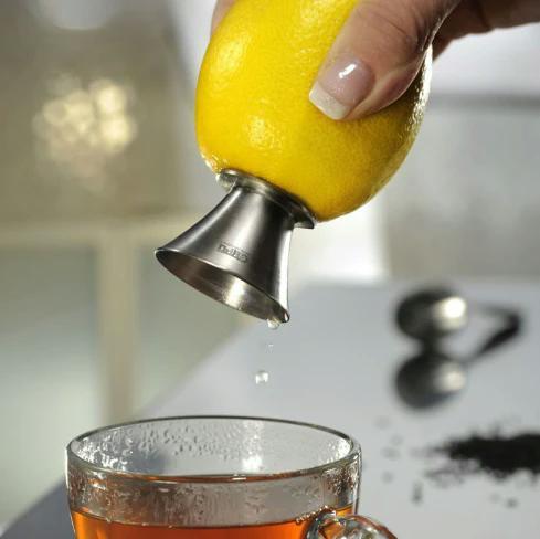 Fruit Juicer 