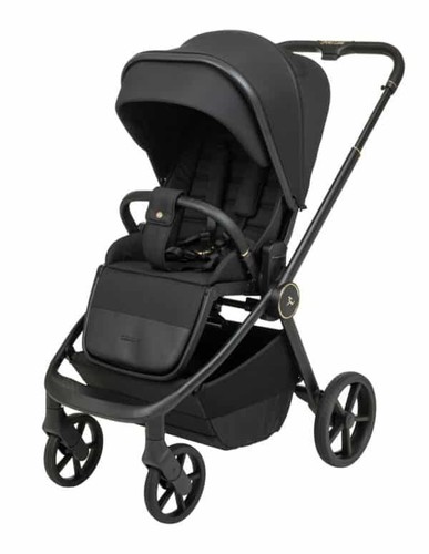 Sport Line-Cielo XL- ספורט ליין סיילו אקסל 2025-שחור עיטור זהב