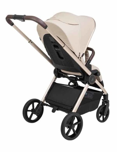 Sport line CIELO PRO 2025- ספורט ליין סיילו פרו בצבע שחור עיטור זהב