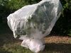 רשת הגנה לעצים 4X4