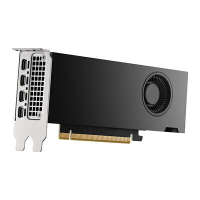 כרטיס מסך NVIDIA RTX 2000 Ada 16GB