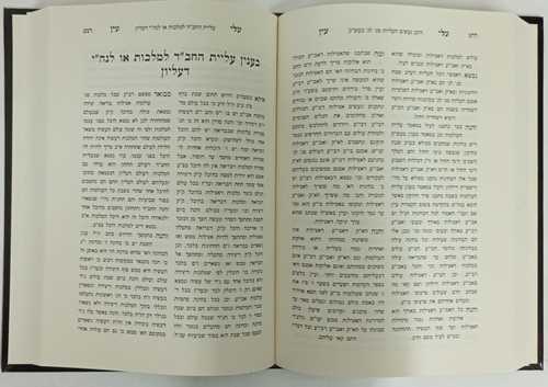 עלי עין חלק ה'